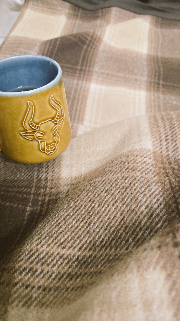 chezephyr's tweet image. New age comforters and quilts are good but for me - nothing can beat the pure wool blankets #Winters #Warm