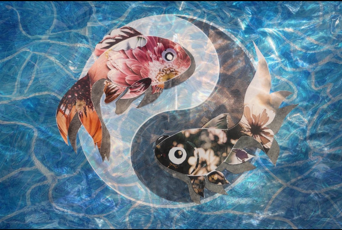 masapon📸 (@masamas0115) / Posts and Replies / X