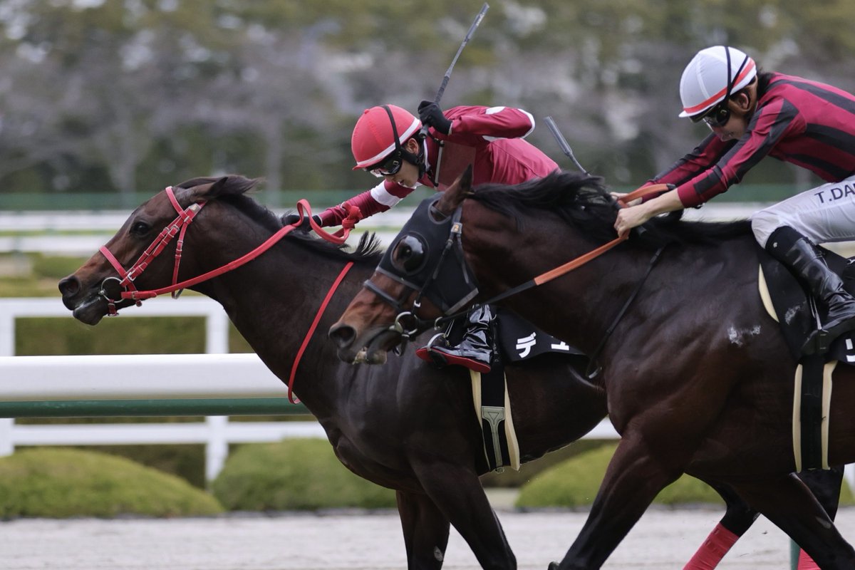 モモガン (@MMGN_5) / Posts / X