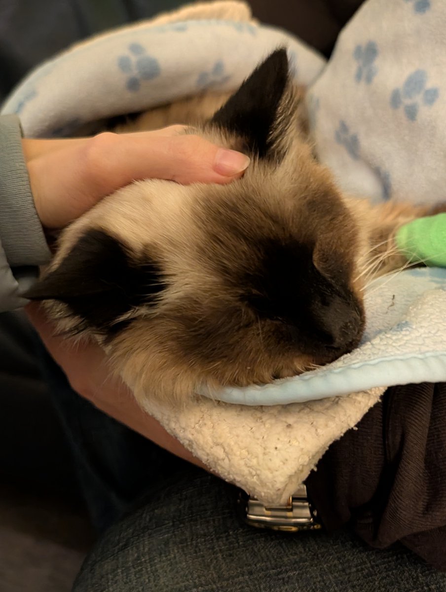 She's gone. 
2008-2025