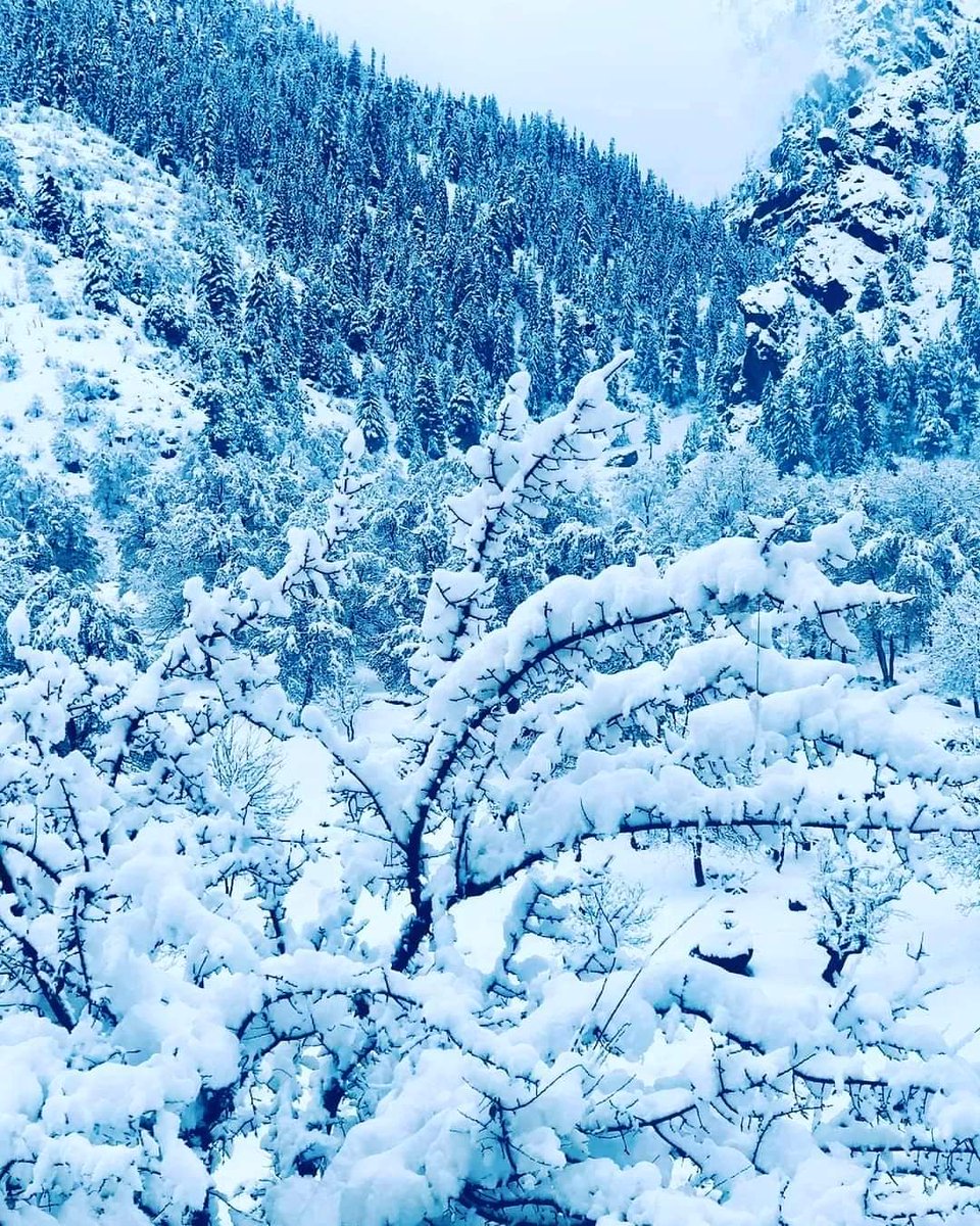 Gov_Hafiz's tweet photo. په ګران هیواد کې
د برکتونو او رحمتونو نه ډکو اورښتونو په هيله! https://t.co/EHs1LoVOzM
