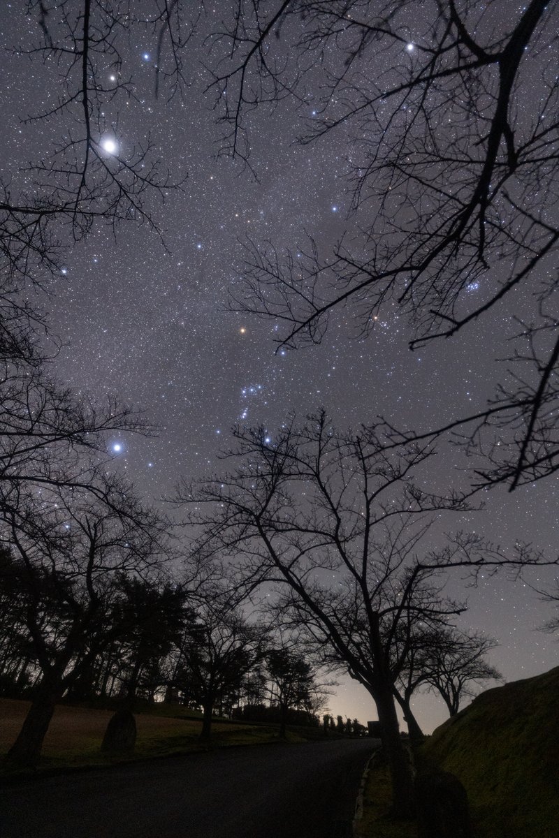 man_ten_bo_shi's tweet image. 本日未明の能登の星空です。
北陸の冬はすっきり晴れる日が少ないものの、珍しく一晩中晴れていました。
木の枝越しに眺める冬の星々はイルミネーションのようで美しいですね。
本日は新月です。これから数日は月明かりの影響がほぼなく、星空が見やすいです。
ぜひ暖かくして星空を眺めてみましょう。