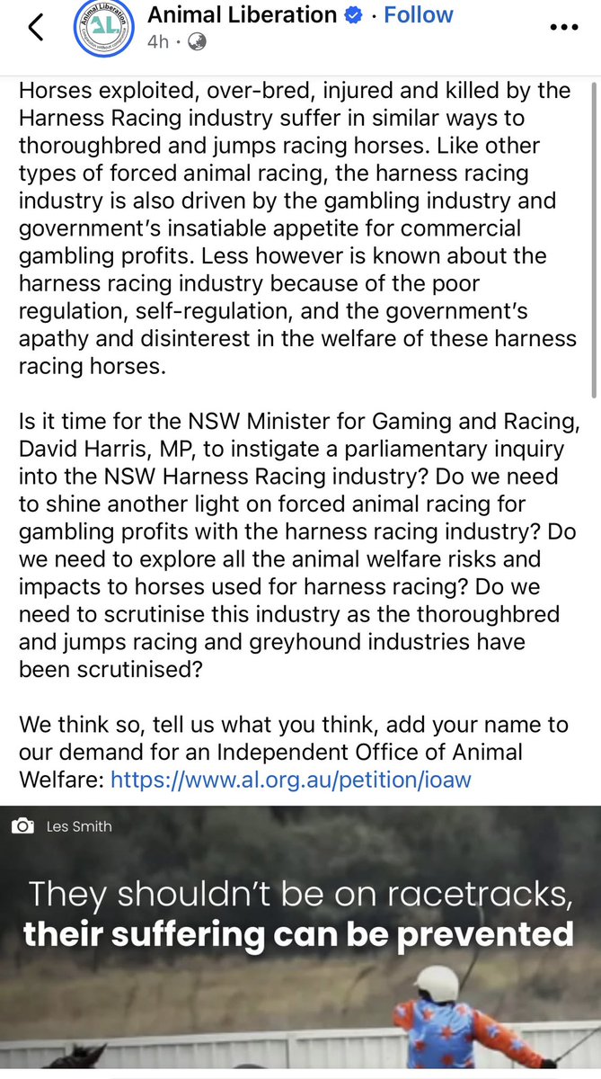 RCR Greyhounds tweet media