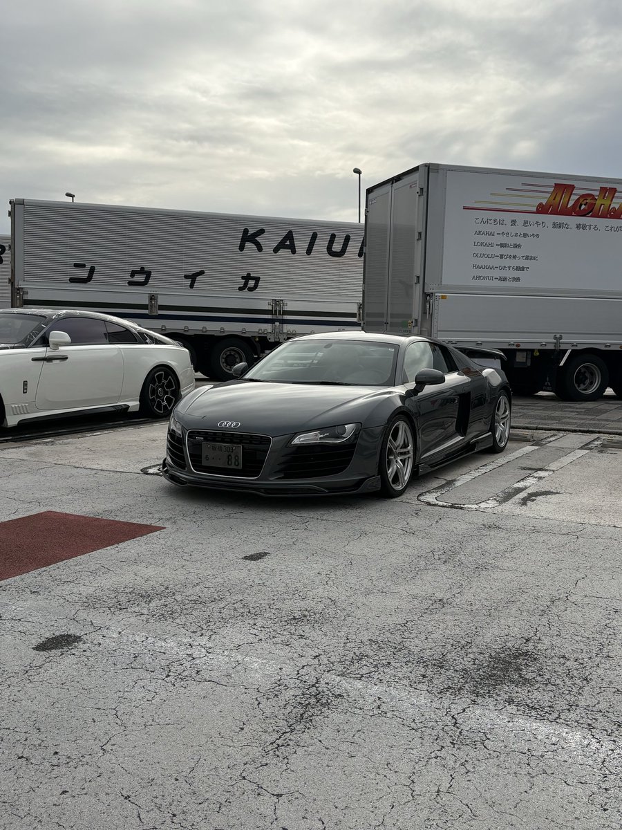 まめまる まめまる (@_mame00) / Posts / X