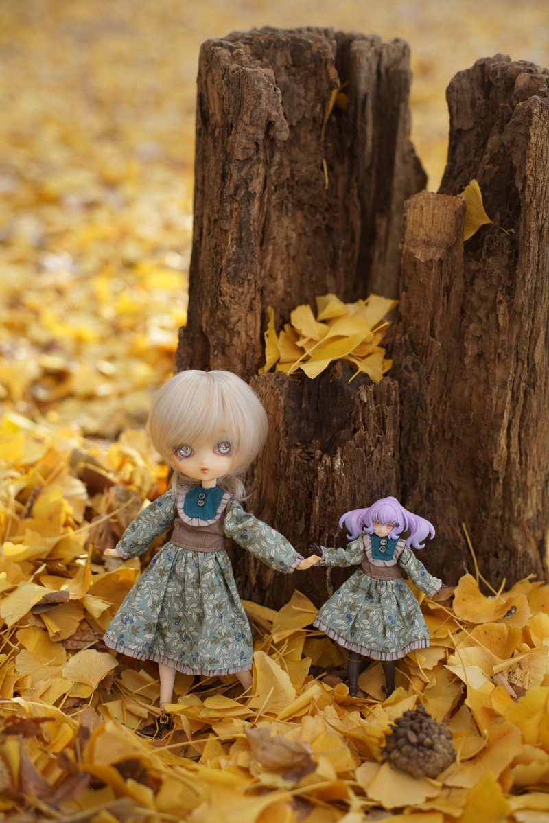 ハルモニアちゃんたちもお散歩🍂☀️