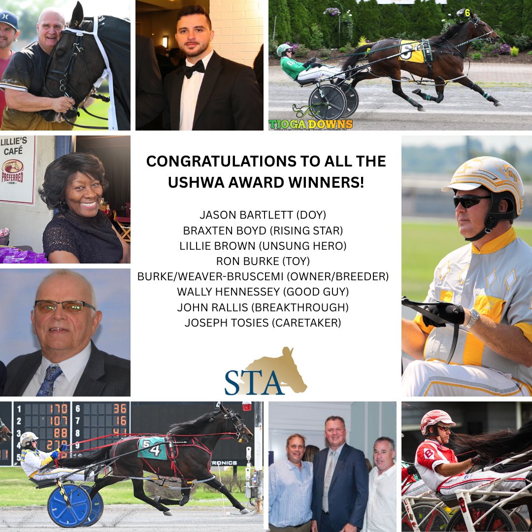 Standardbred Transition Alliance tweet media