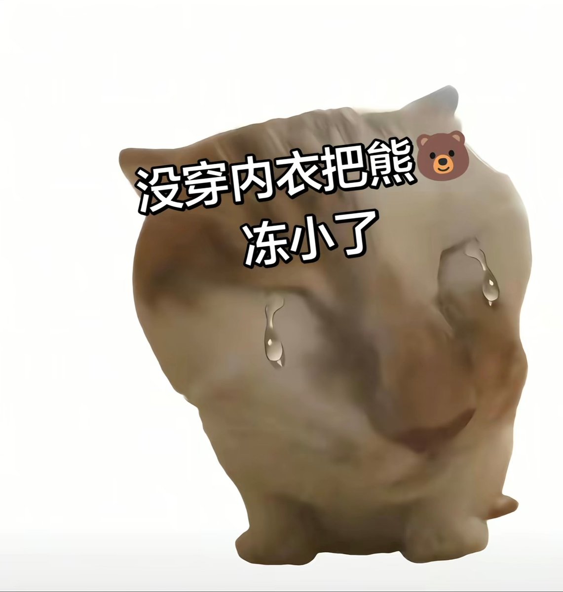 QiYue0 tweet media