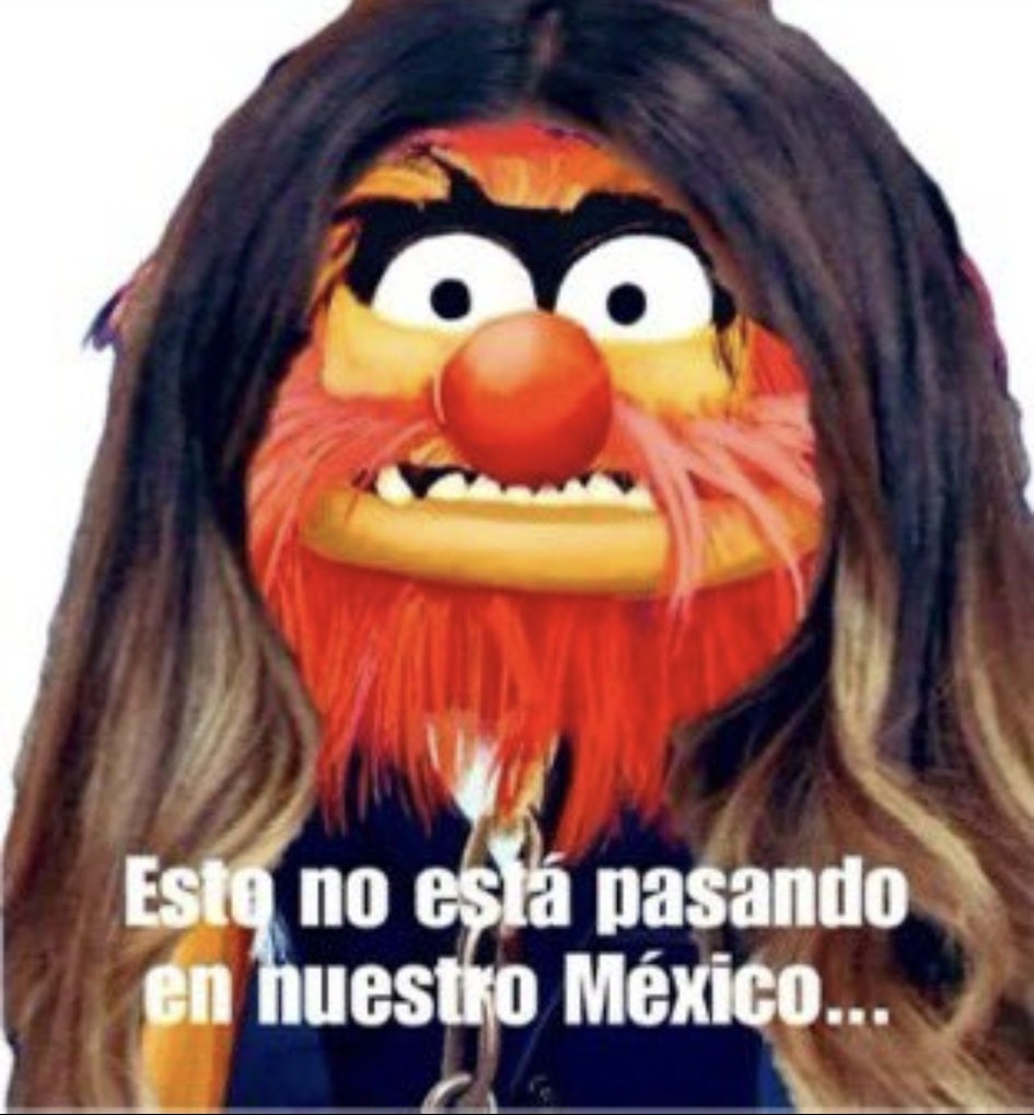 <a href="/noticiasredmx/">Noticias RedMX</a>