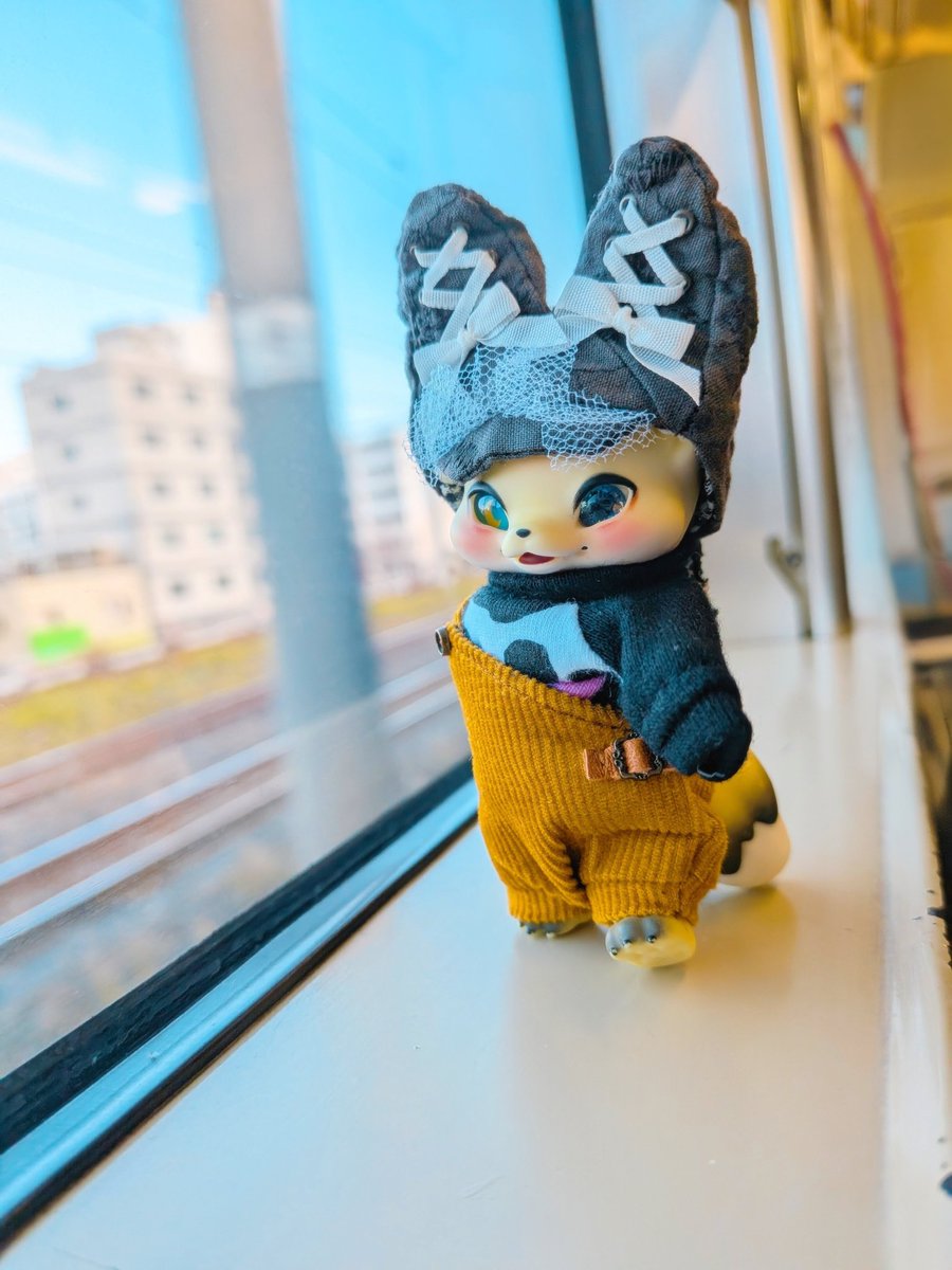 久しぶりの遠出のお出かけ🐾
午後から晴れるって、信じてるぞ☀！お帽子とお洋服が似合ってるねぇロンちゃん🦊💛