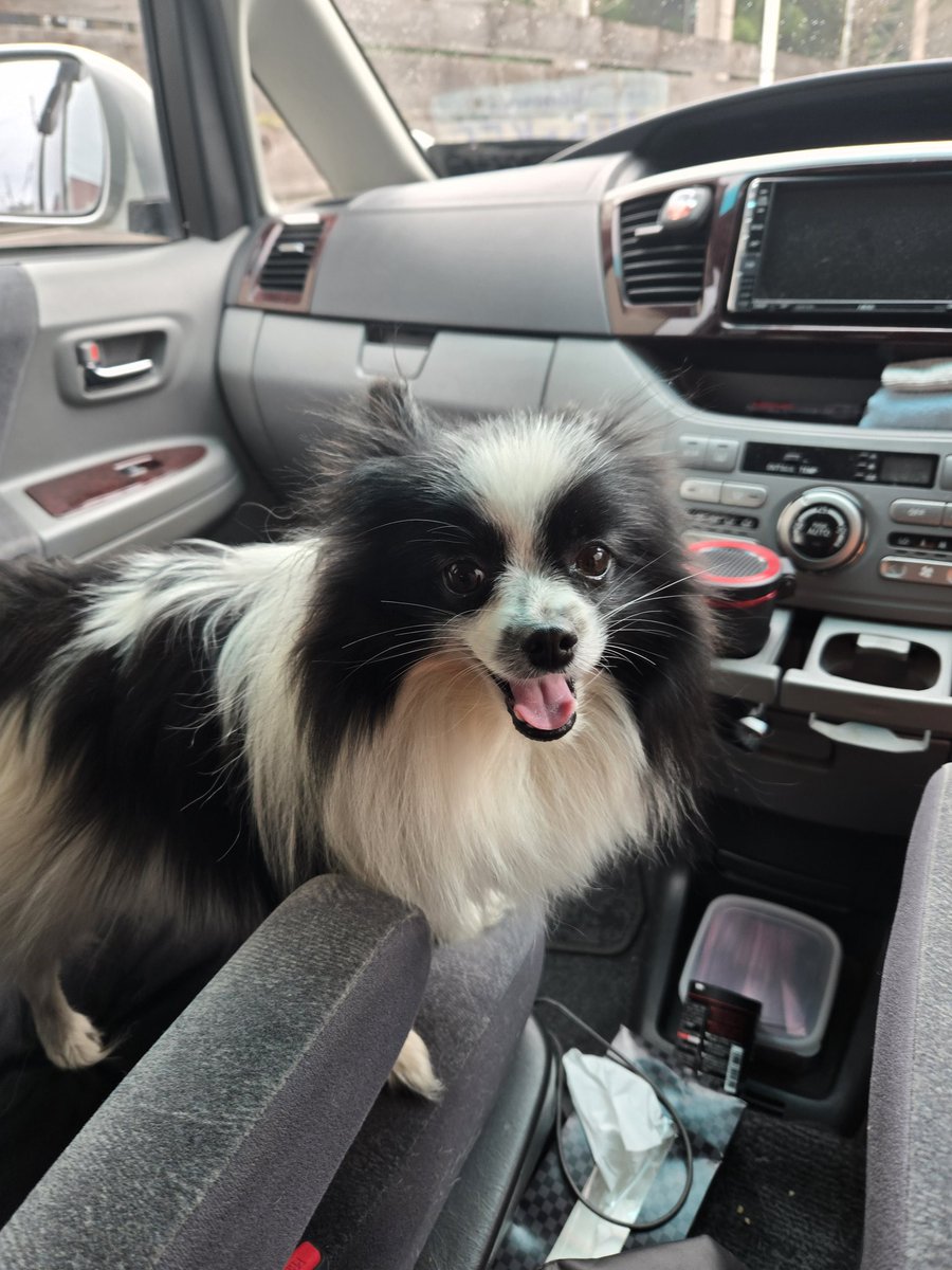 にこまる (@6yQgZFNMNk76215) / Posts / X