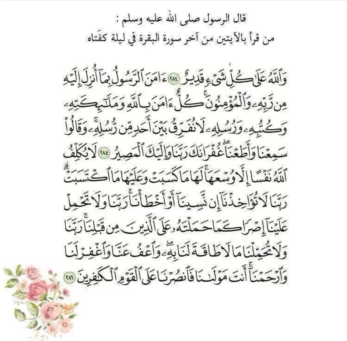 صَــفَــيّــة | tweet media