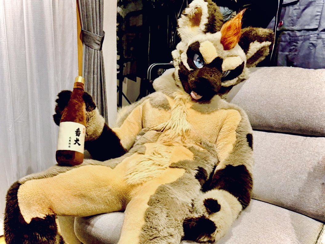 寝るまでが今日だぜ🍾💕💕

 #FursuitFriday
📸: <a href="/rararanos/">竜平@らのす🐺</a>