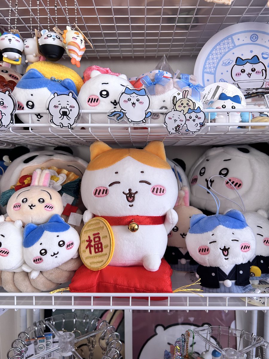 カメコ (@kameco713) / Posts / X