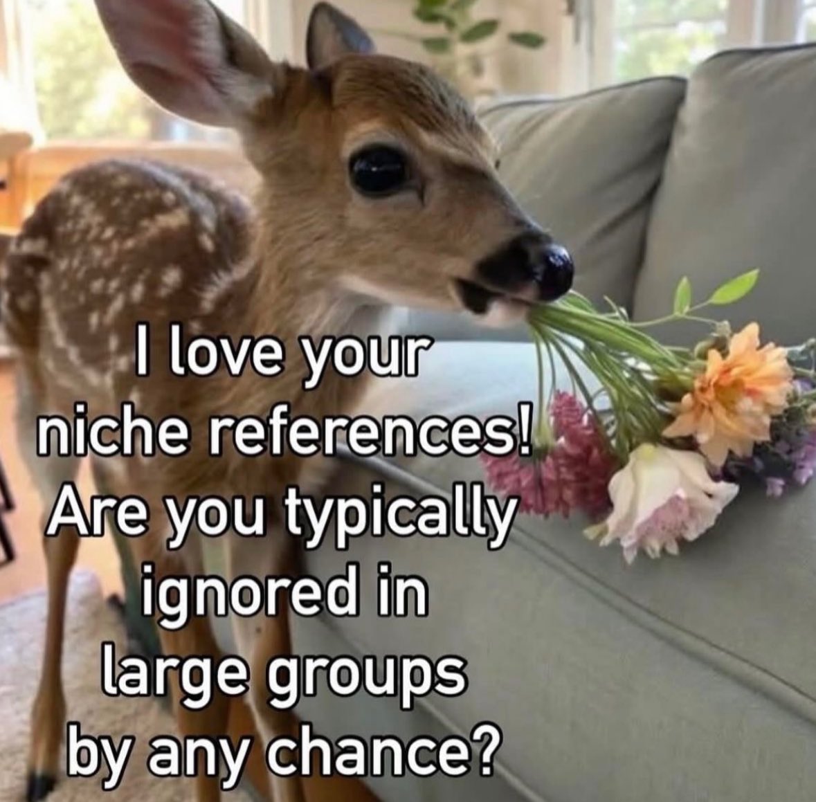 northstardoll's tweet image. 