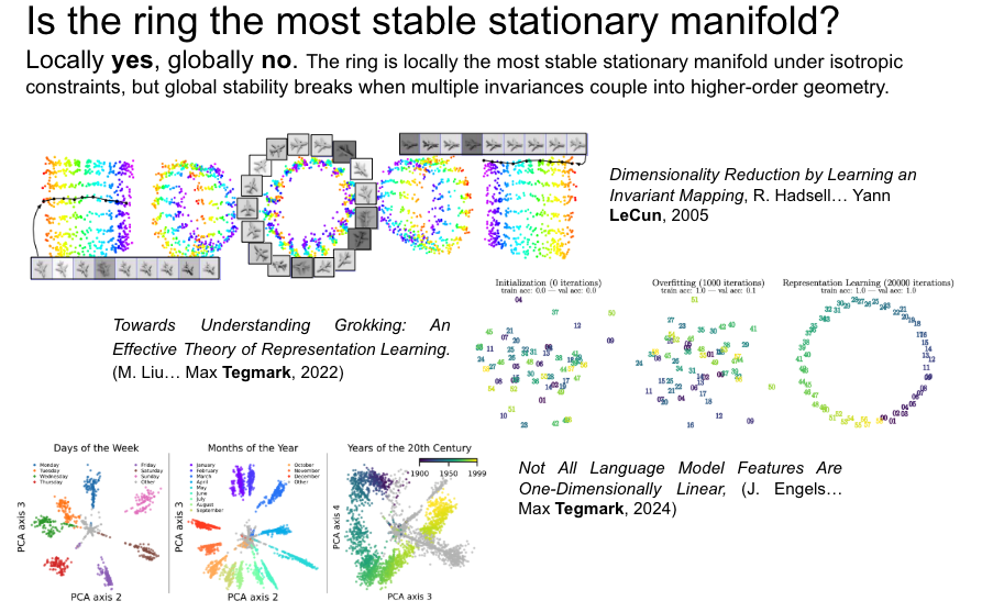 Stationary, Symmetry and Neural Plasticity