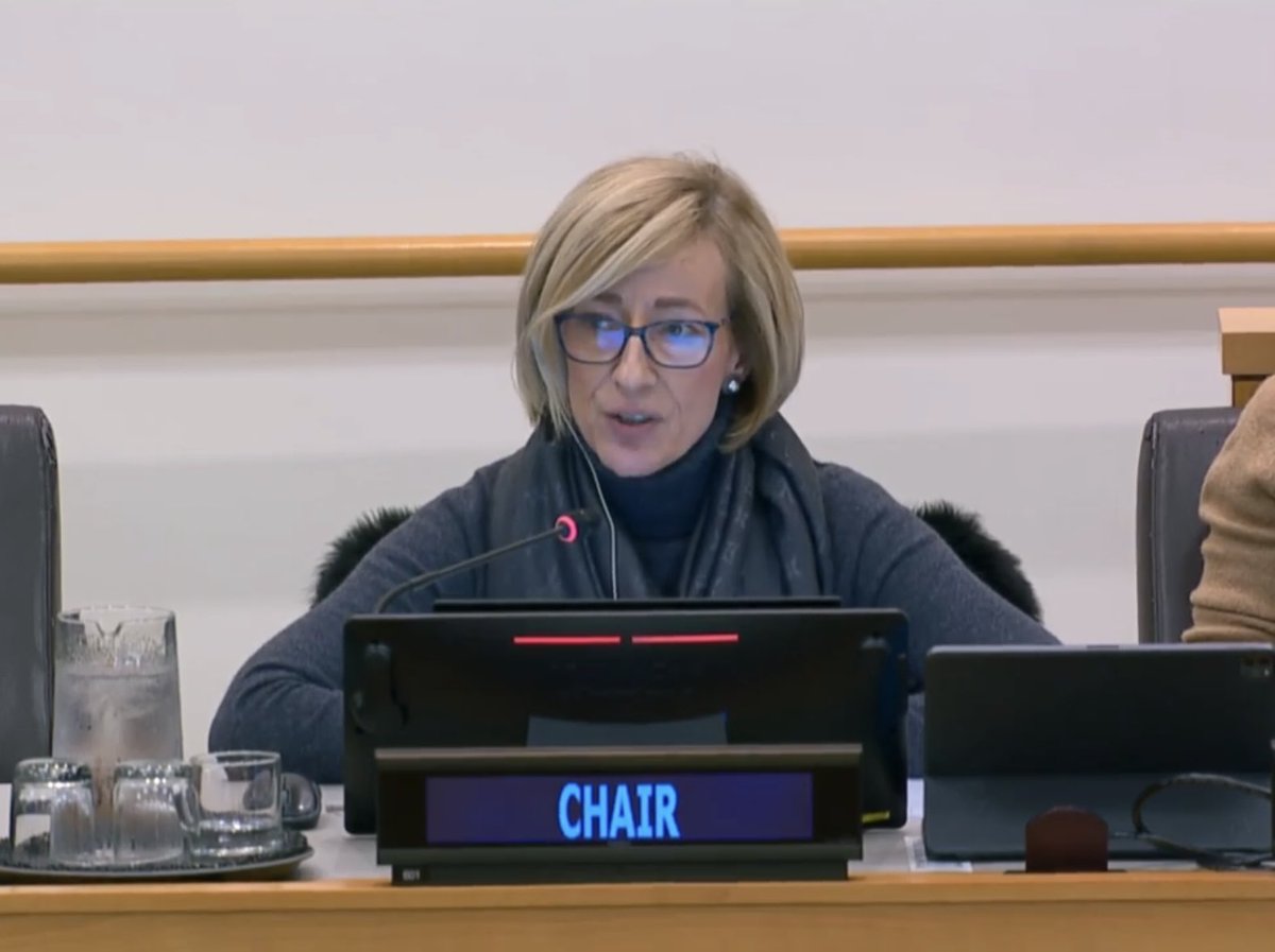 HUN Mission to UN tweet media