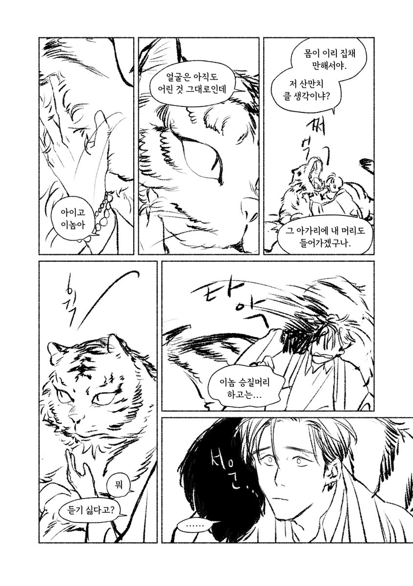 yagi0571's tweet image. 산고양이(?