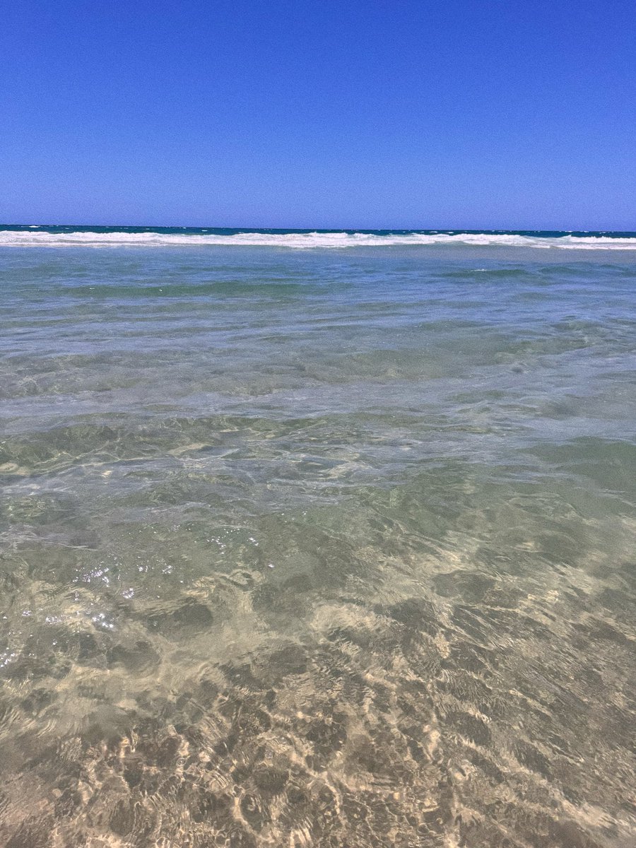 ⚡️🌞 Sol Brah 🌞🐬 tweet media