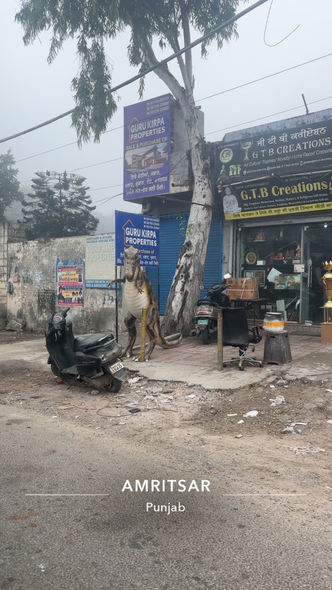 Kall amritsar sahib baby dinosaur dikhan nu milya #akalidal