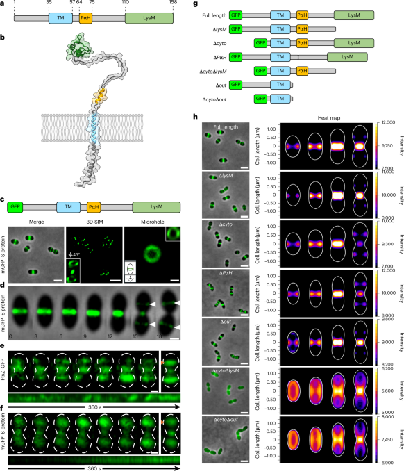 Nature Microbiology tweet media