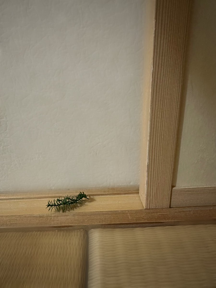 手のひらサイズのクリスマスツリー🌲
和室で制作してるんですけど数日後もみ木の切れっ端に  うわー！毛虫ー！🐛って1人でびっくりしてしまいました。なんだ…もみの木か…

#ミニチュア　#クリスマスツリー