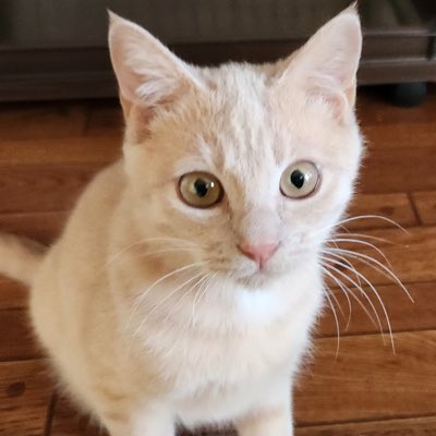 evergreenesp's tweet image. #NewProfilePic