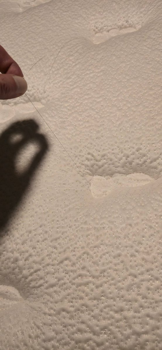 Zach Baggins tweet media