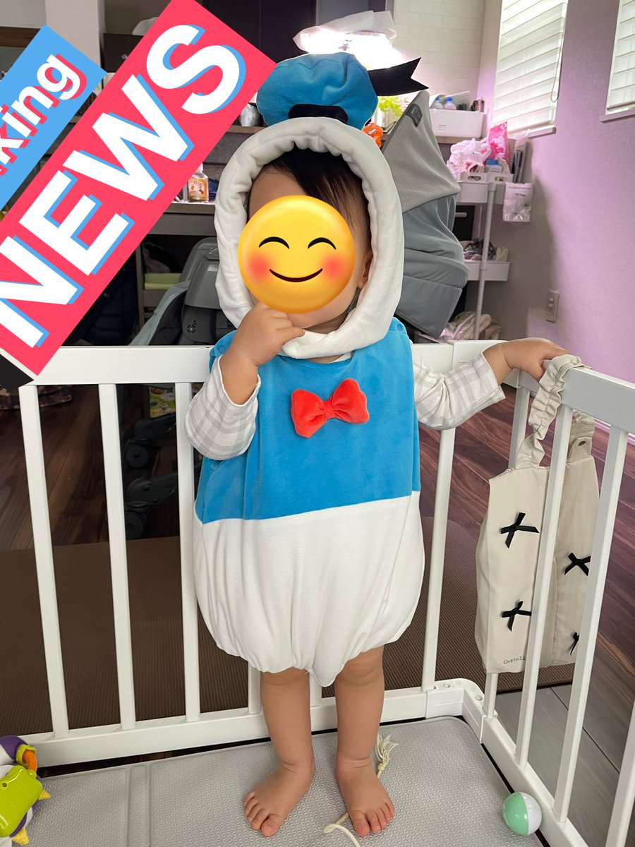 🌽セイラ tweet media