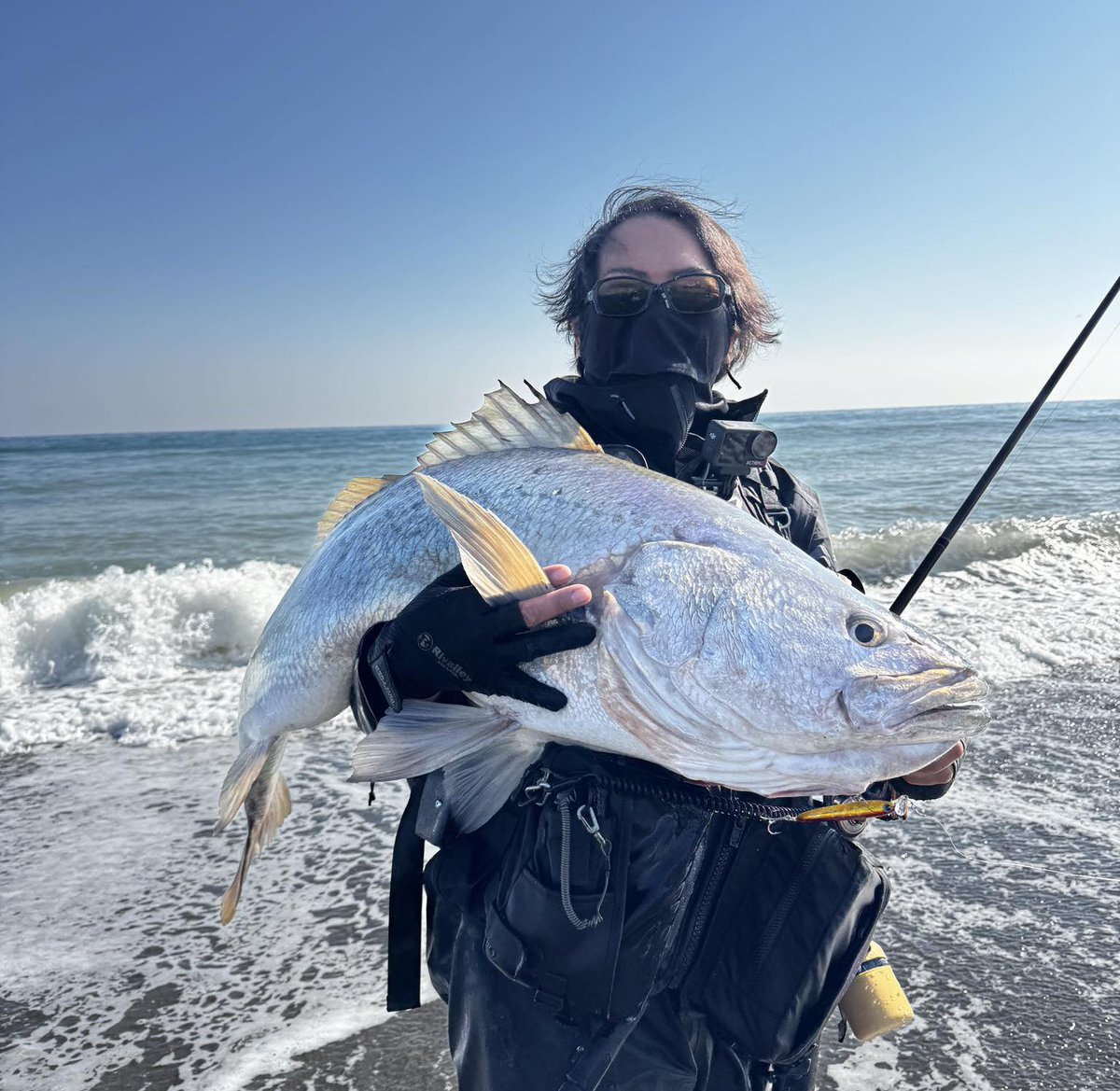 カルビ男爵 (@karubi_dansyaku) / Posts / X