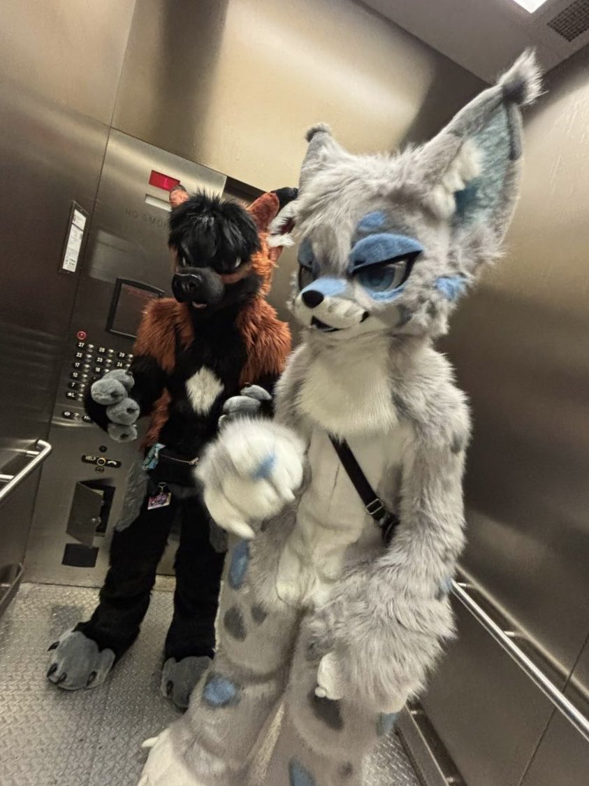 mira 🔜 TFF tweet media