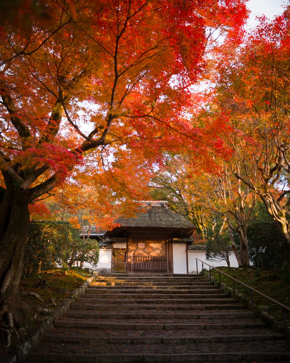 Hasselblad's tweet photo. Happy weekend, any adventures planned this week?
Wherever you go, weโd love to see it through your lens.
๐ท Kinoko X2D II 100C & XCD 35โ100E
#Hasselblad #mediumformatcamera #X2D2 #X2DII #HasselbladNewCamera #XCD35100E #HasselbladMoments #WeekendVibes #ChasingLight https://t.co/AzvwVYF5LG