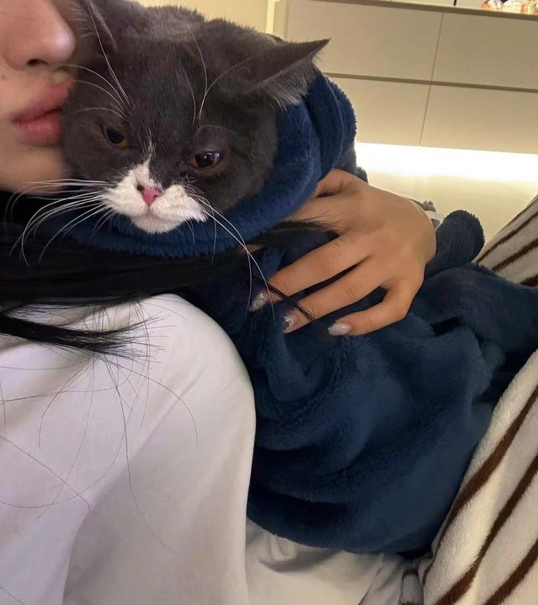 #용인 #동부동 냐옹~~~귀찮타옹📸