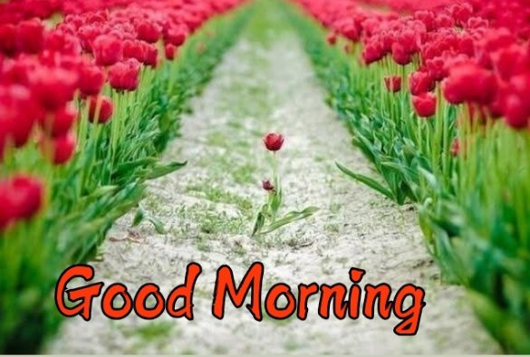 بابا جی فرماتے ہیں بیٹا 🦋

اخلاق کے بغیر انسان اس دنیا میں چھوڑا ہوا ایک درندہ ہے اور کچھ نہیں .
Right

اَلسَّلَامُ عَلَیْڪُم ، صبـــــــاح الخیر 🇵🇰
سلامت رہیں ہنستے مسکراتے رہیں