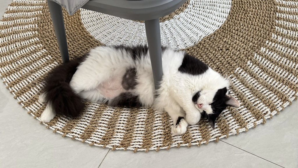 eh itu apa itu pink pink???