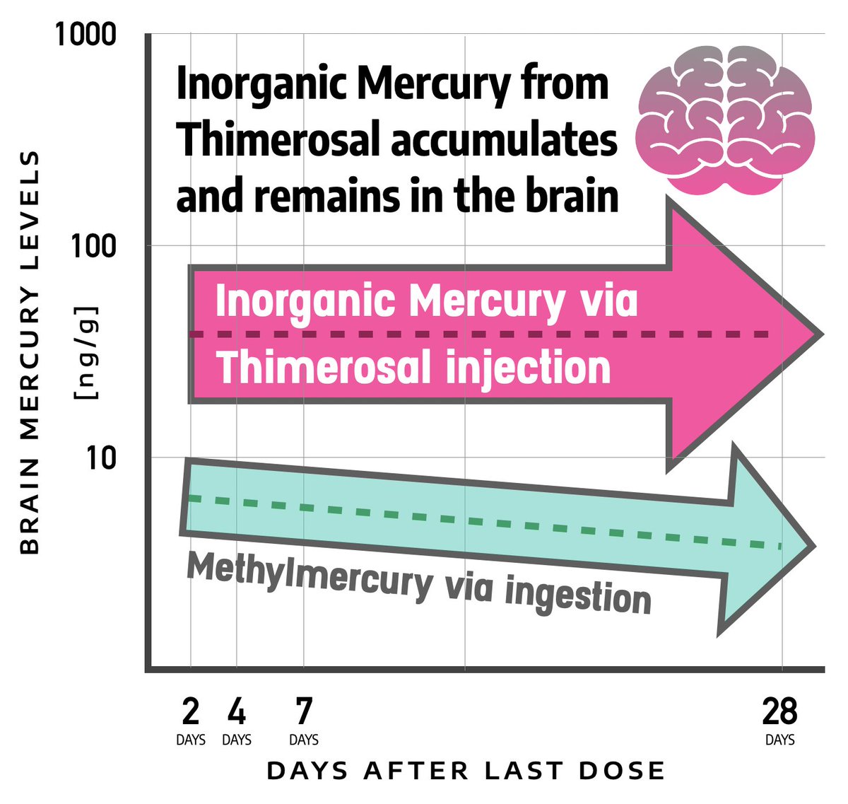 The public continues to be misled on the safety of Thimerosal. Inorganic mercury from Thimerosal injection accumulates and remains in the brain a long, long time after exposure.

entwine.substack.com/p/mercurial-sc…
