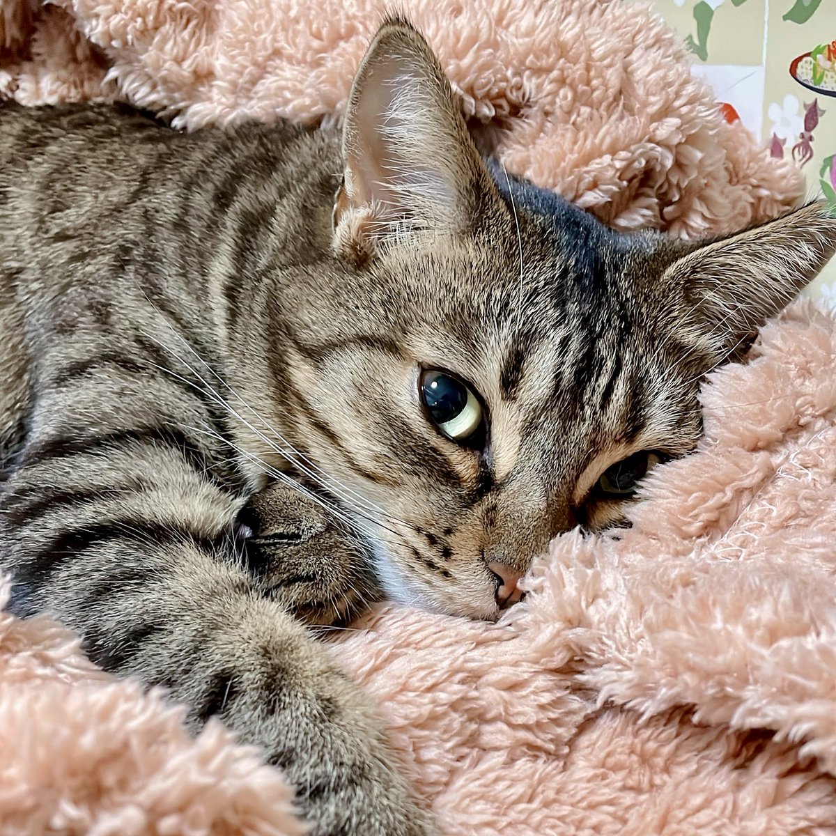 寝てると思ってたら目が開いてた👀