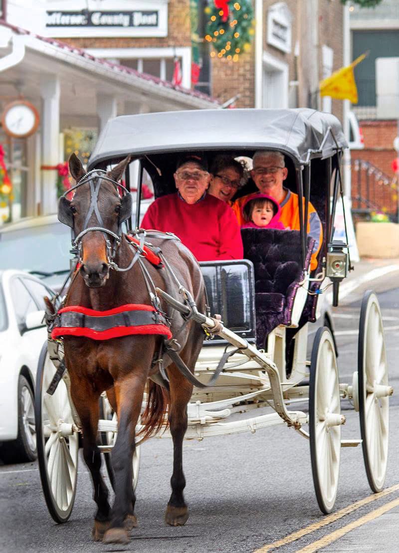 golocaljeff's tweet photo. It’s a whole day of Christmas cheer this Saturday as Dandridge hosts their Annual Dandridge Fire Department Christmas Parade at 1pm! The festive fun continues with carriage rides and candlelight shopping through the historic streets of town.
#golocaljefferson https://t.co/HLdHw1ZIqK