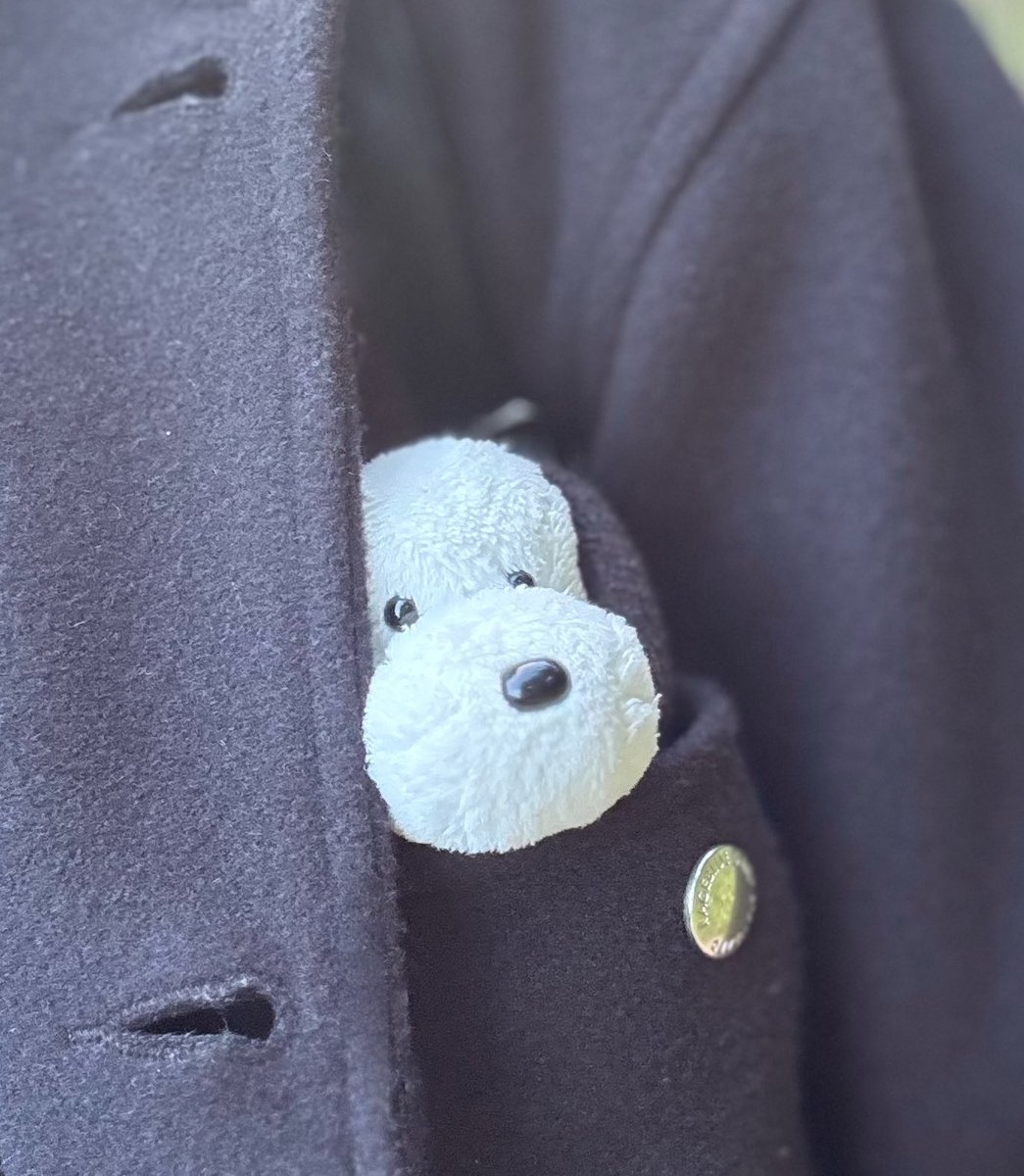 やめぴ (@yamekawaeee) / Posts / X