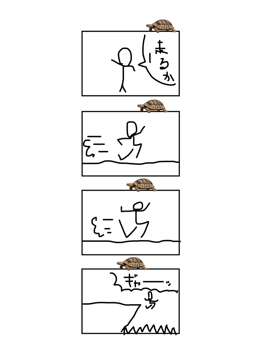 亀はまだ端に届かない
#現代4コマ 