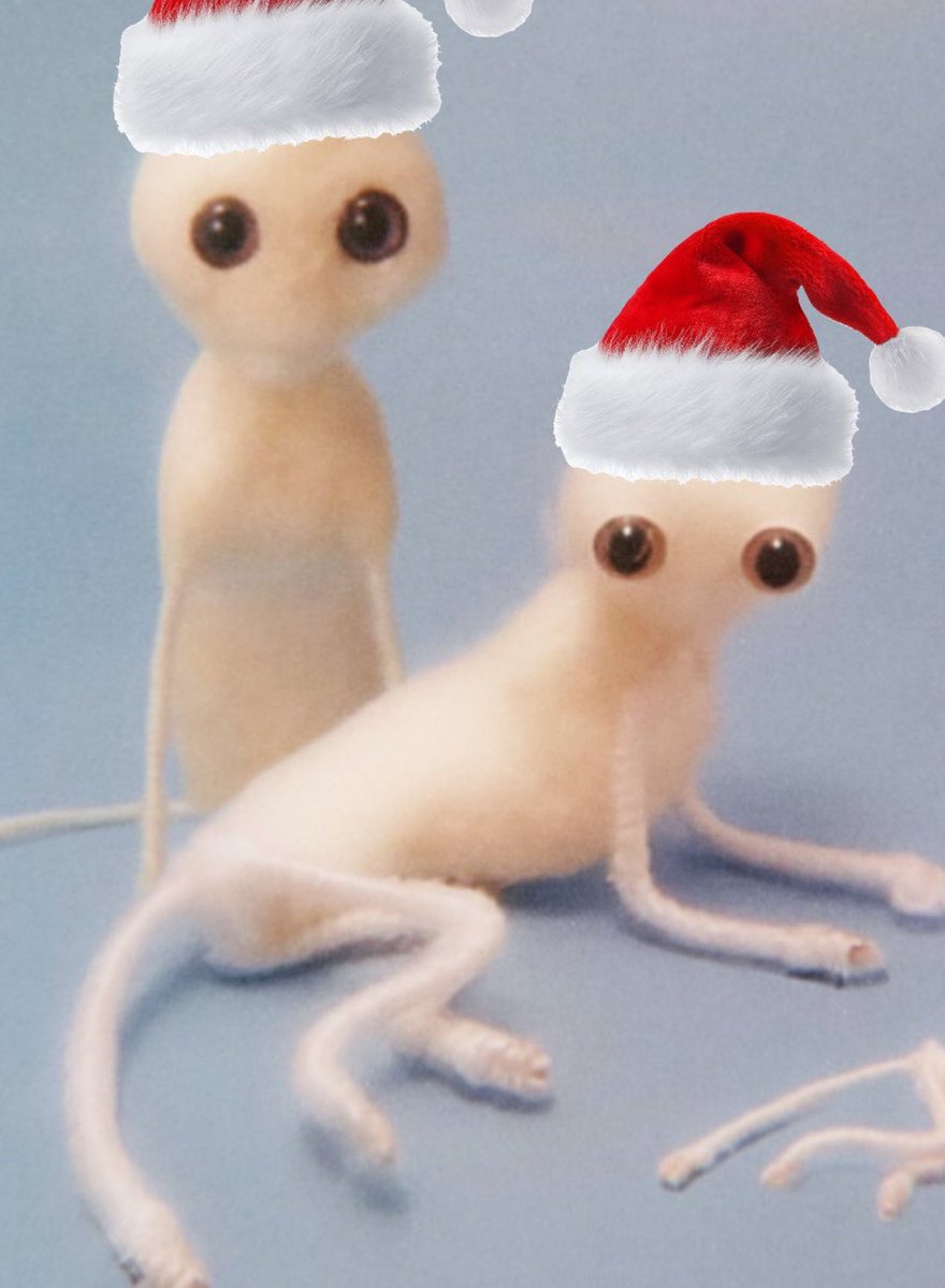 earlfromsol's tweet photo. Beginning to look a lot like legmas https://t.co/IgM0aOen3Q