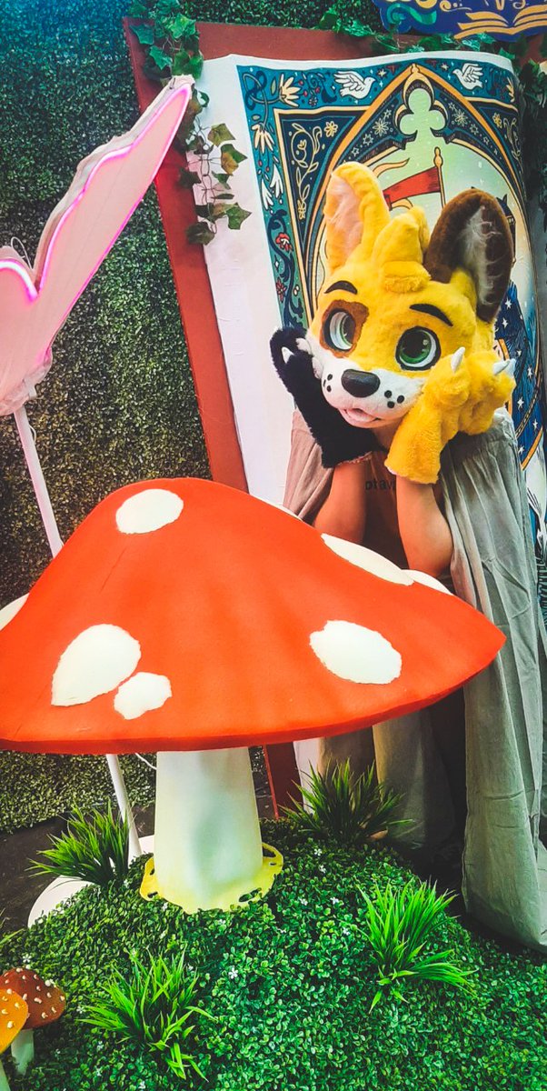 Just a mushroom cat 🍄

Happy #FursuitFriday ✨