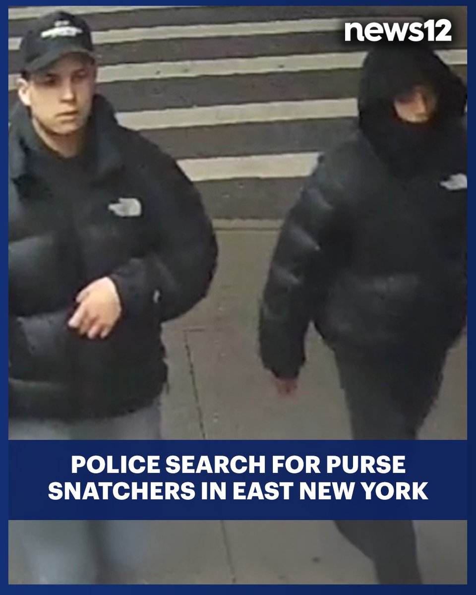 News12BK's tweet image. PURSE SNATCHERS: East New York residents are holding their belongings a bit closer these days — after police say two men have been on the prowl, snatching purses. bit.ly/4qhJPO3

#News12BK #Crime