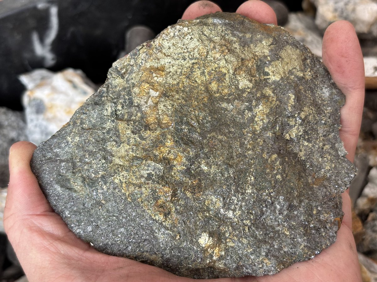 6点 北海道 美笛 千歳鉱山産 銀黒鉱石 閃亜鉛鉱 黄銅鉱 黄鉄鉱 6点 北海道 美笛 千歳鉱山産 銀黒鉱石 閃亜鉛鉱 黄銅鉱 黄鉄鉱