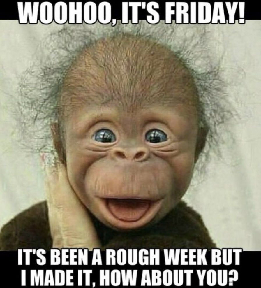 perhapsroll's tweet image. 