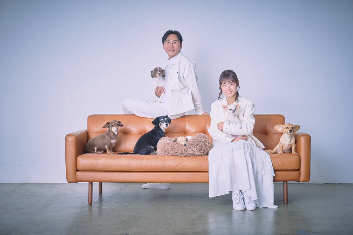 ぴょんす (@pyonsu_h1r0) / Posts / X