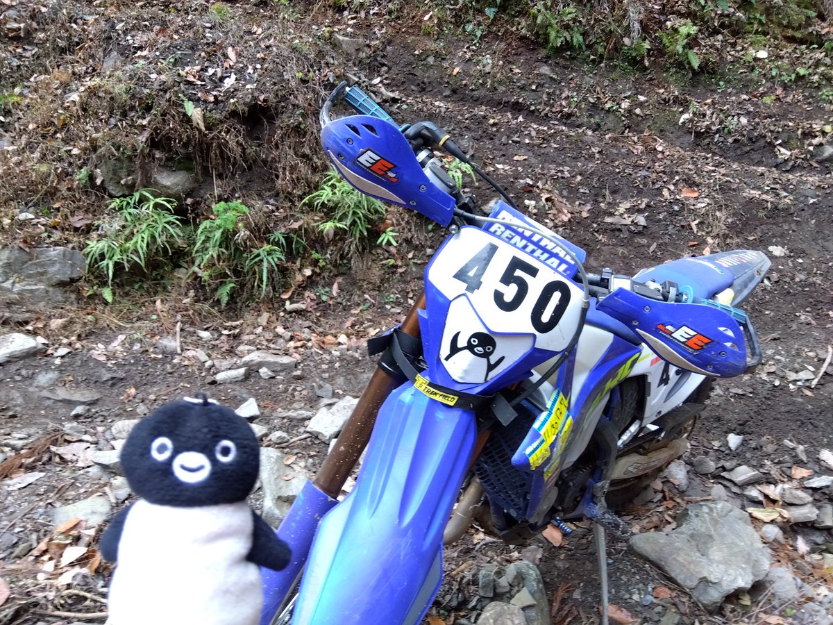 ひめまる 姫丸 (@himemaru3) / Posts / X