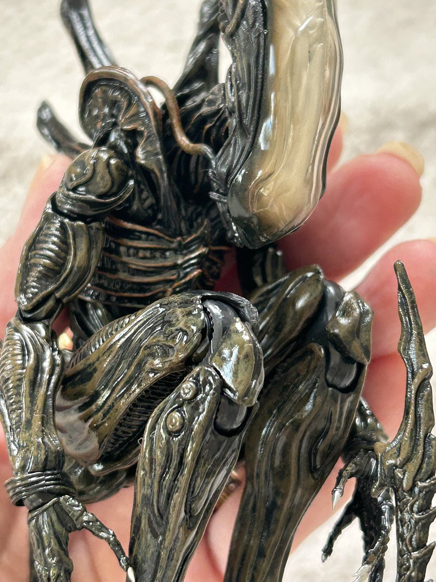 Yoshi. (@Yoshi6054) / Posts / X