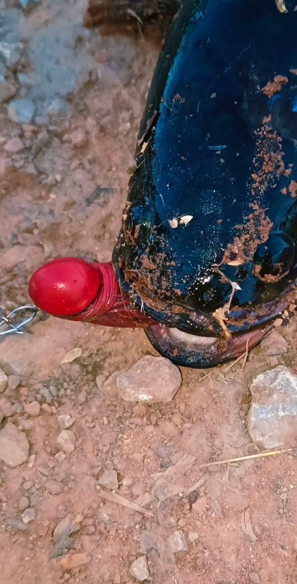 EYELESSS69's tweet image. 🤣🤣🤣