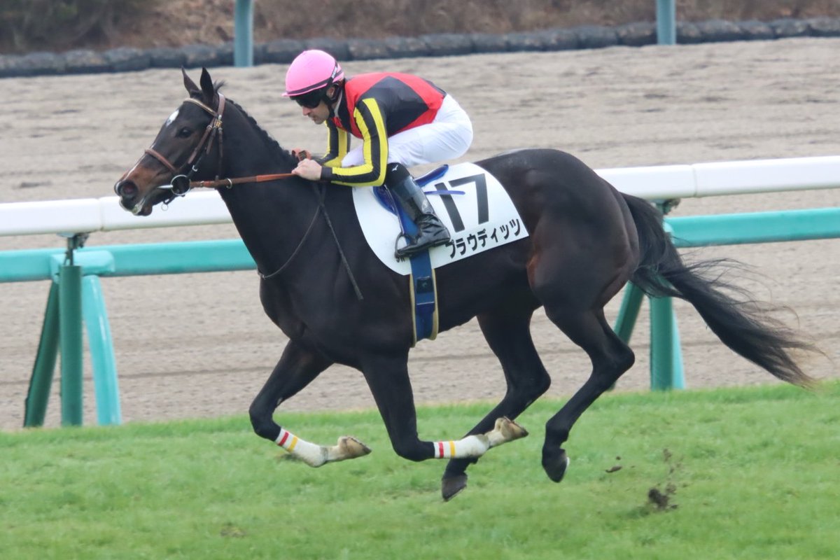 HiyoshiPocket's tweet photo. 2025年12月20日
#プラウディッツ
#クリストフ・ルメール
#サンデーレーシング
#Plaudits
#2歳新馬
#メイクデビュー中山
#中山競馬場 https://t.co/nvob7y5Qc4