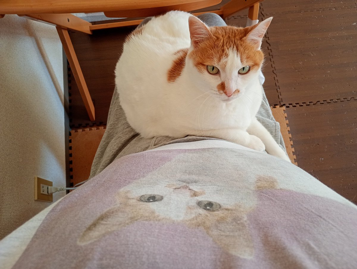 さうちゃん in front of さうT👚